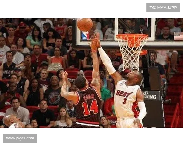 NBA盖帽率排行榜：历史最佳封盖高手与现代防守风云解析