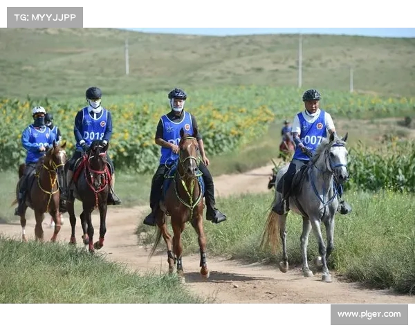 马术比赛精彩纷呈展现骑术与速度的完美结合挑战极限与勇气的赛场对决