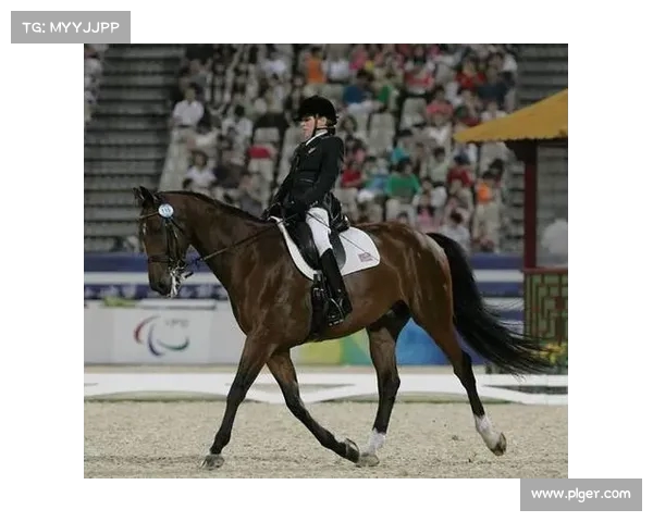 马术比赛精彩纷呈展现骑术与速度的完美结合挑战极限与勇气的赛场对决